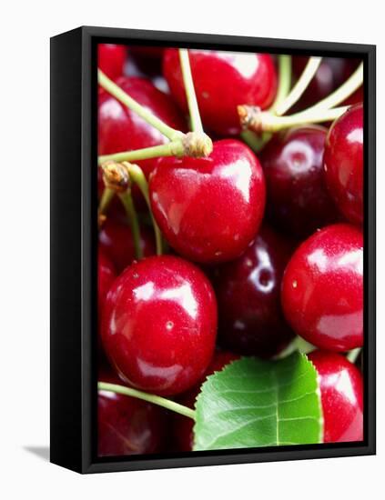 Red Cherries (Close-Up)-Foodcollection-Framed Stretched Canvas