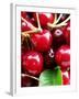 Red Cherries (Close-Up)-Foodcollection-Framed Photographic Print