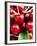 Red Cherries (Close-Up)-Foodcollection-Framed Photographic Print