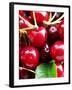 Red Cherries (Close-Up)-Foodcollection-Framed Photographic Print