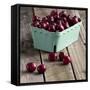 Red Cherries on Wood-Tom Quartermaine-Framed Stretched Canvas