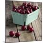 Red Cherries on Wood-Tom Quartermaine-Mounted Giclee Print