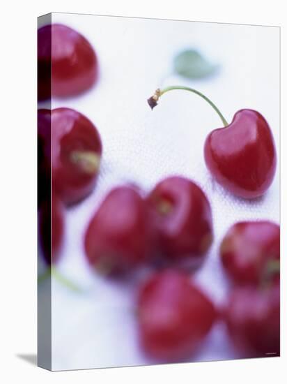 Red Cherries-Ulrike Holsten-Stretched Canvas