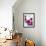 Red Cherries-Ulrike Holsten-Framed Photographic Print displayed on a wall