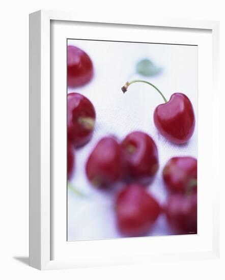 Red Cherries-Ulrike Holsten-Framed Photographic Print