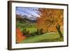 Red Cherry Trees in Autumn Color the Country Road around St. Magdalena Village-Roberto Moiola-Framed Photographic Print