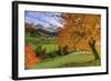 Red Cherry Trees in Autumn Color the Country Road around St. Magdalena Village-Roberto Moiola-Framed Photographic Print