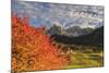 Red Cherry Trees in Autumn Color the Country Road around St. Magdalena Village-Roberto Moiola-Mounted Photographic Print