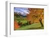 Red Cherry Trees in Autumn Color the Country Road around St. Magdalena Village-Roberto Moiola-Framed Photographic Print