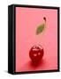 Red Cherry with Stalk and One Leaf-Axel Struwe-Framed Stretched Canvas