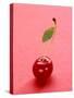 Red Cherry with Stalk and One Leaf-Axel Struwe-Stretched Canvas