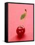 Red Cherry with Stalk and One Leaf-Axel Struwe-Framed Stretched Canvas