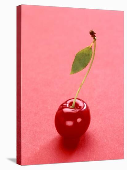 Red Cherry with Stalk and One Leaf-Axel Struwe-Stretched Canvas