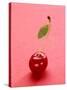 Red Cherry with Stalk and One Leaf-Axel Struwe-Stretched Canvas