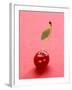 Red Cherry with Stalk and One Leaf-Axel Struwe-Framed Photographic Print