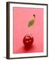 Red Cherry with Stalk and One Leaf-Axel Struwe-Framed Photographic Print