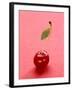 Red Cherry with Stalk and One Leaf-Axel Struwe-Framed Photographic Print