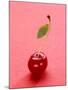 Red Cherry with Stalk and One Leaf-Axel Struwe-Mounted Photographic Print