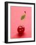 Red Cherry with Stalk and One Leaf-Axel Struwe-Framed Photographic Print