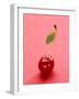 Red Cherry with Stalk and One Leaf-Axel Struwe-Framed Photographic Print