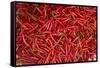 Red chili, Dong Ba Market, Hue, Thua Thien-Hue Province, Vietnam-David Wall-Framed Stretched Canvas