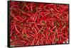 Red chili, Dong Ba Market, Hue, Thua Thien-Hue Province, Vietnam-David Wall-Framed Stretched Canvas