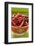 Red Chili Peppers in Asian Bowl-Foodcollection-Framed Photographic Print