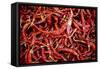 Red Chili Peppers (Ocotlan Market, Oaxaca, Mexico)-Marco Cristofori-Framed Stretched Canvas