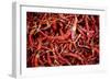 Red Chili Peppers (Ocotlan Market, Oaxaca, Mexico)-Marco Cristofori-Framed Photographic Print