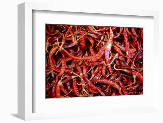 Red Chili Peppers (Ocotlan Market, Oaxaca, Mexico)-Marco Cristofori-Framed Photographic Print