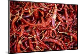 Red Chili Peppers (Ocotlan Market, Oaxaca, Mexico)-Marco Cristofori-Mounted Photographic Print