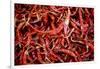 Red Chili Peppers (Ocotlan Market, Oaxaca, Mexico)-Marco Cristofori-Framed Photographic Print