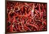 Red Chili Peppers (Ocotlan Market, Oaxaca, Mexico)-Marco Cristofori-Framed Photographic Print