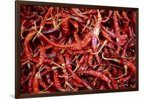 Red Chili Peppers (Ocotlan Market, Oaxaca, Mexico)-Marco Cristofori-Framed Photographic Print