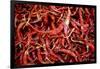 Red Chili Peppers (Ocotlan Market, Oaxaca, Mexico)-Marco Cristofori-Framed Photographic Print