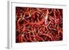 Red Chili Peppers (Ocotlan Market, Oaxaca, Mexico)-Marco Cristofori-Framed Photographic Print