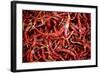 Red Chili Peppers (Ocotlan Market, Oaxaca, Mexico)-Marco Cristofori-Framed Photographic Print