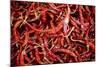 Red Chili Peppers (Ocotlan Market, Oaxaca, Mexico)-Marco Cristofori-Mounted Photographic Print