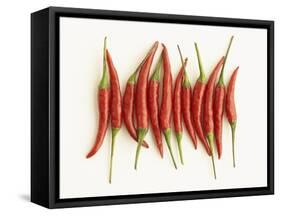 Red Chili Peppers-Marc O^ Finley-Framed Stretched Canvas