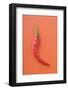 Red Chilli on Red Background-Foodcollection-Framed Photographic Print