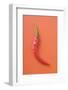 Red Chilli on Red Background-Foodcollection-Framed Photographic Print