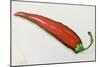 Red chilli pepper  acrylic-Sarah Thompson-Engels-Mounted Giclee Print