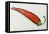 Red chilli pepper  acrylic-Sarah Thompson-Engels-Framed Stretched Canvas