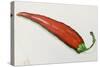 Red chilli pepper  acrylic-Sarah Thompson-Engels-Stretched Canvas