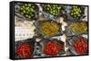 Red Chilli Peppers and Limes-Nico Tondini-Framed Stretched Canvas