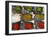 Red Chilli Peppers and Limes-Nico Tondini-Framed Photographic Print