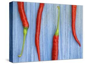 Red Chilli Peppers Chillies Freshly Harvested on Pale Blue Background-Gary Smith-Stretched Canvas