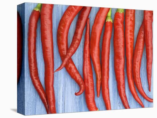 Red Chilli Peppers Chillies Freshly Harvested on Pale Blue Background-Gary Smith-Stretched Canvas