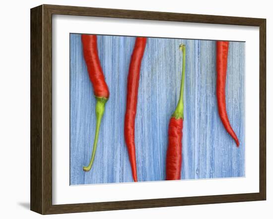 Red Chilli Peppers Chillies Freshly Harvested on Pale Blue Background-Gary Smith-Framed Photographic Print