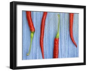 Red Chilli Peppers Chillies Freshly Harvested on Pale Blue Background-Gary Smith-Framed Photographic Print